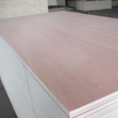 premium plywood used for decoration/furniture