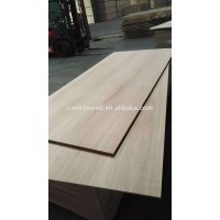 Best Price big size Top Grade 10 foot plywood for furniture